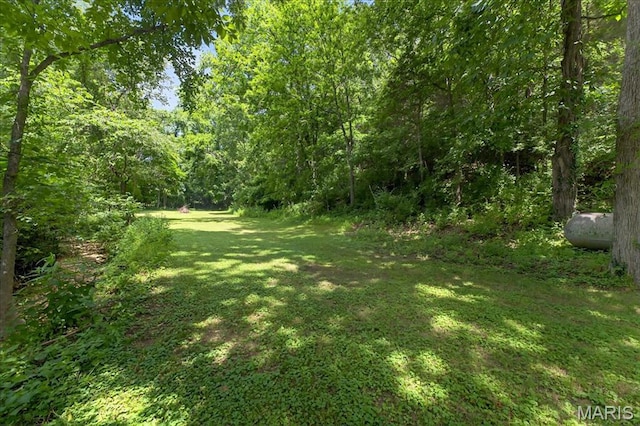3871 Autumn Set Dr, Arnold, MO 63010 - photo 38