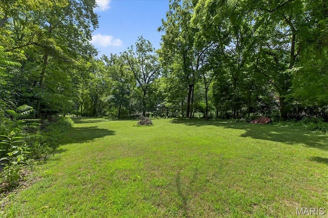 3871 Autumn Set Dr, Arnold, MO 63010 - photo 39
