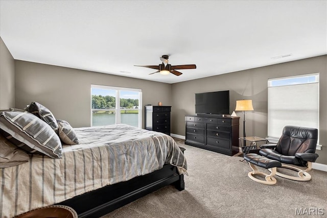 6020 N Lakeshore Dr, Hillsboro, MO 63050 - photo 36