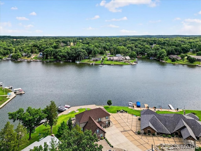 6020 N Lakeshore Dr, Hillsboro, MO 63050 - photo 61