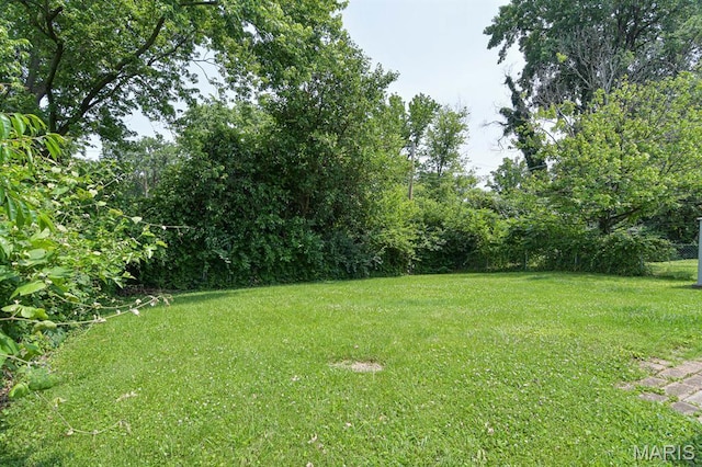 90 Brackleigh Ln, Florissant, MO 63031 - photo 32