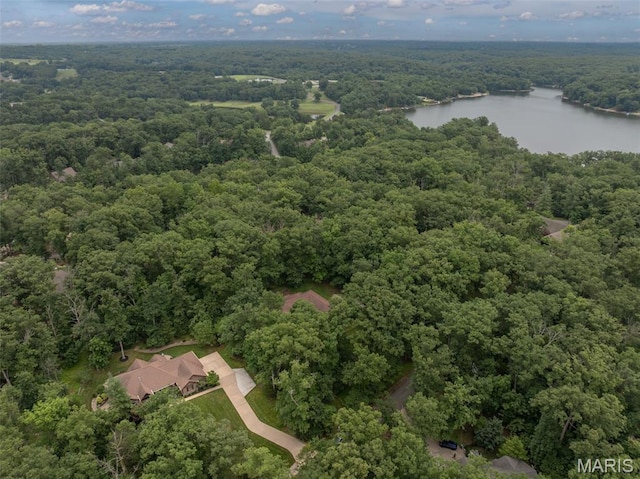 552 Lorraine Creek Dr, Innsbrook, MO 63390 - photo 19