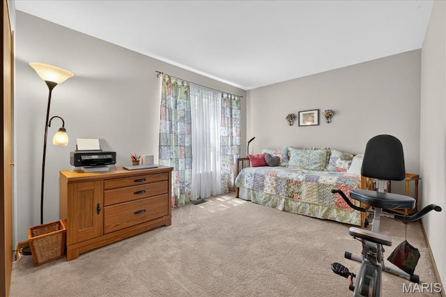 10900 Village Grove Dr Unit B, Concord Township, MO 63123 - photo 25