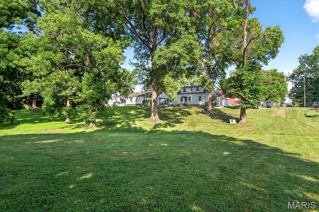 105 49th St, Belleville, IL 62226 - photo 44