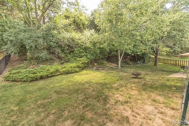 555 Vernal Hill Ct, Ballwin, MO 63021 - photo 28