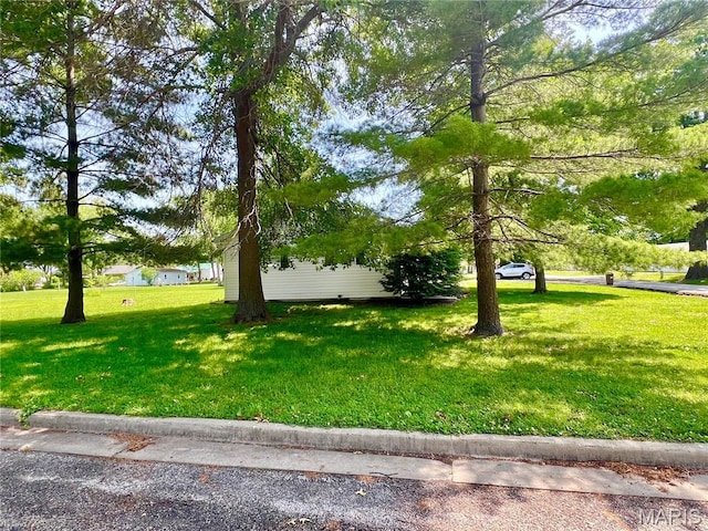 219 Patton St, Montgomery City, MO 63361 - photo 4