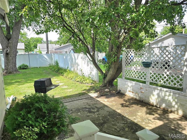 803 Smith Ln, Hillsboro, IL 62049 - photo 8