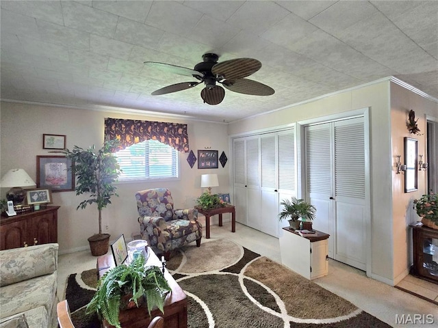 803 Smith Ln, Hillsboro, IL 62049 - photo 14