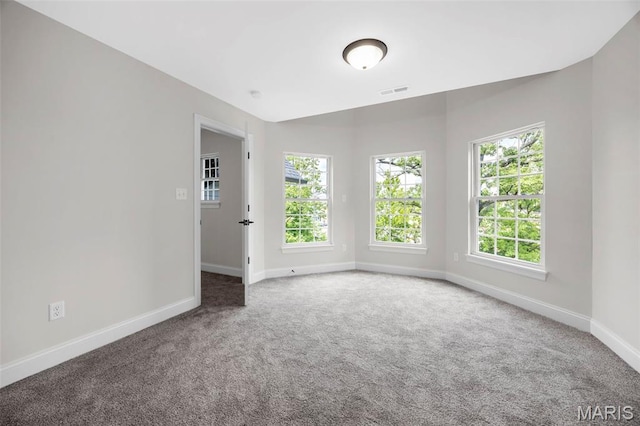 1016 Marshall Ave, Webster Groves, MO 63119 - photo 40