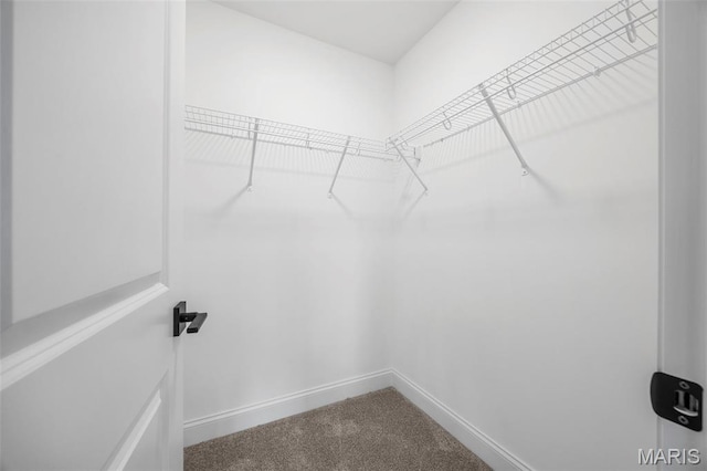 1016 Marshall Ave, Webster Groves, MO 63119 - photo 45