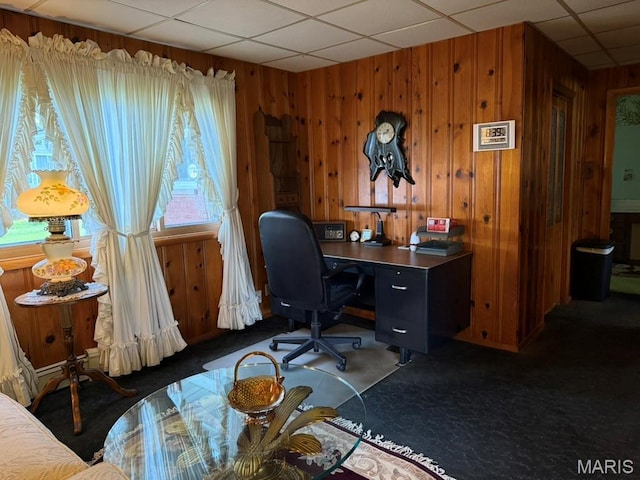 908 Abba St, Gillespie, IL 62033 - photo 27