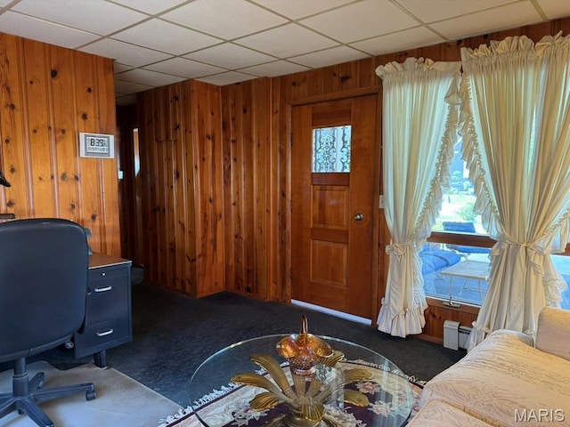 908 Abba St, Gillespie, IL 62033 - photo 28