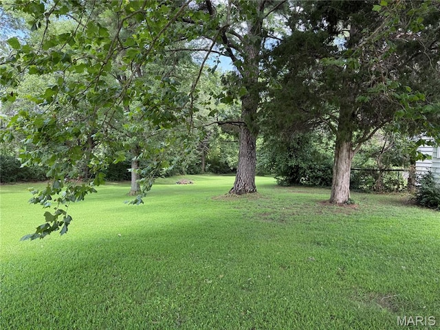608 State Route 13, Marissa, IL 62257 - photo 3