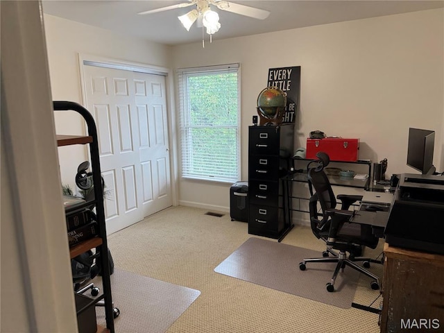 16307 Audubon Village Dr, Wildwood, MO 63040 - photo 40