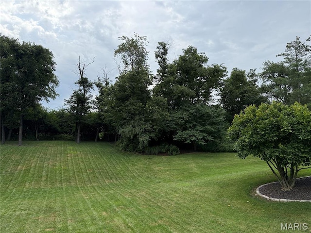 16307 Audubon Village Dr, Wildwood, MO 63040 - photo 58