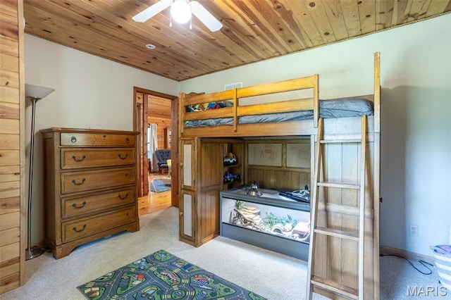 12011 Argonne Rd, Festus, MO 63028 - photo 11