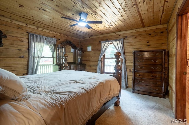 12011 Argonne Rd, Festus, MO 63028 - photo 33