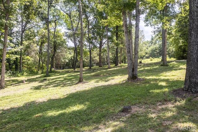12011 Argonne Rd, Festus, MO 63028 - photo 36