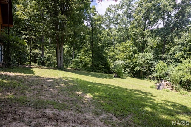 12011 Argonne Rd, Festus, MO 63028 - photo 37