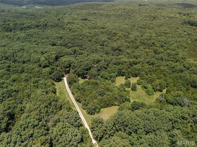 12011 Argonne Rd, Festus, MO 63028 - photo 45
