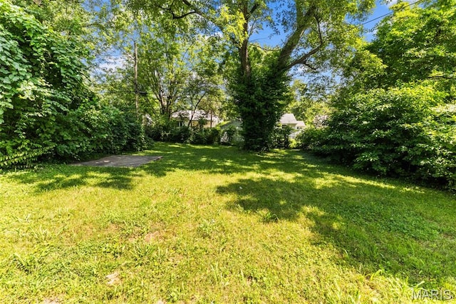 333 Lanark Rd, Saint Louis, MO 63137 - photo 26