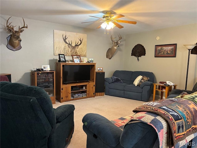 395 Hickory Rd, Steelville, MO 65565 - photo 10