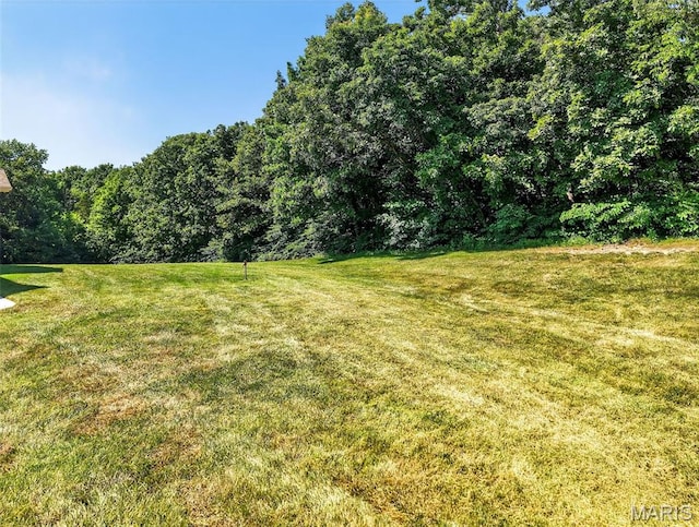 251 Lake Forest Dr, Troy, MO 63379 - photo 75