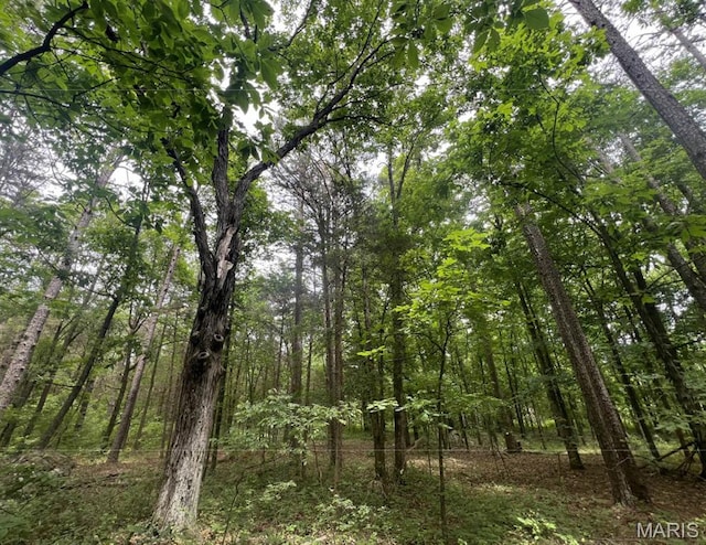 000 Madison Rd, Farmington, MO 63640 - photo 1