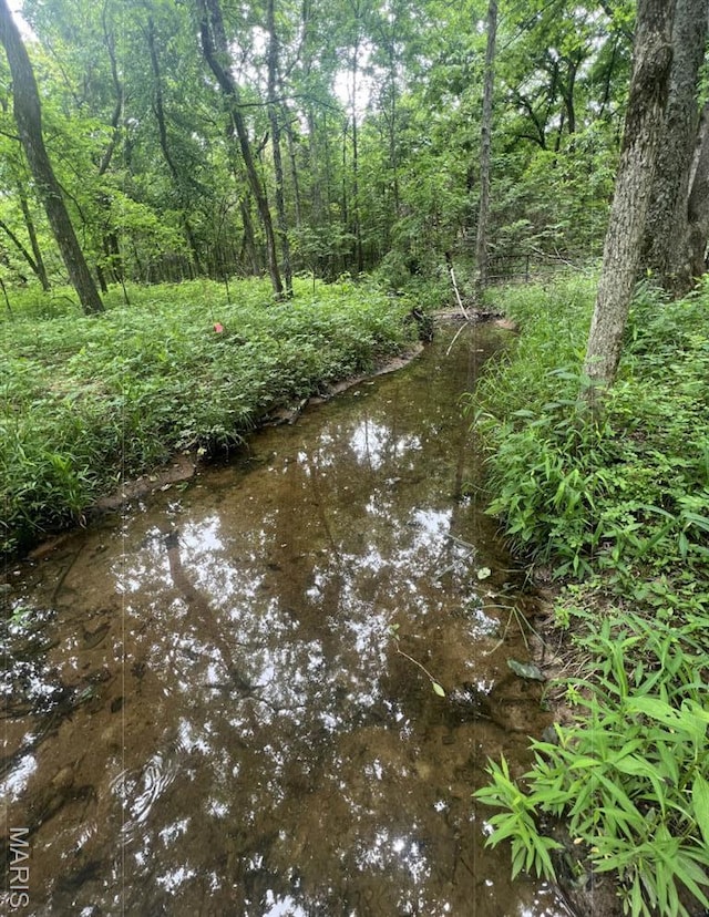 000 Madison Rd, Farmington, MO 63640 - photo 2