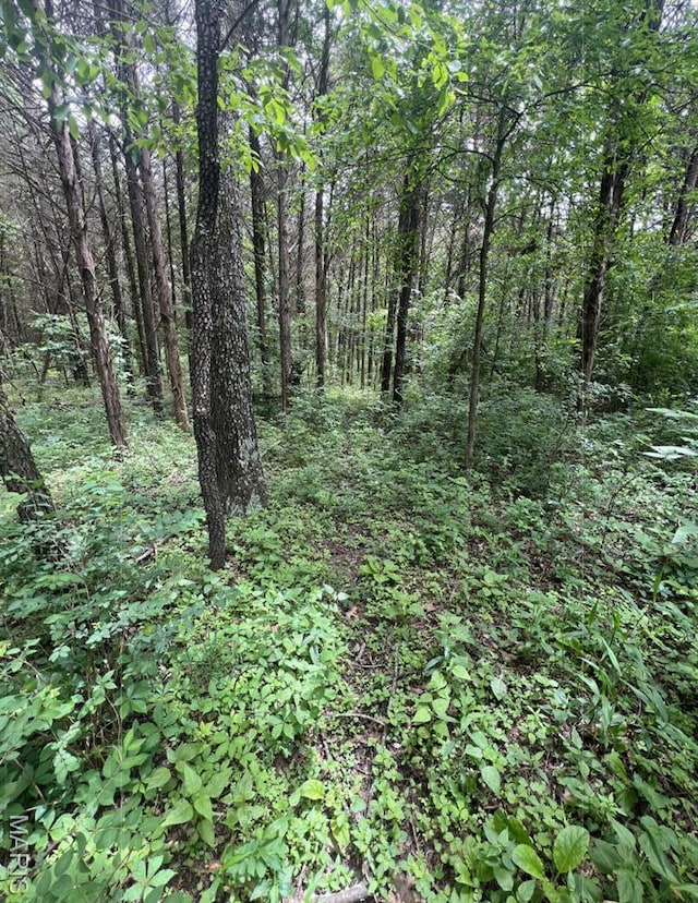 000 Madison Rd, Farmington, MO 63640 - photo 6