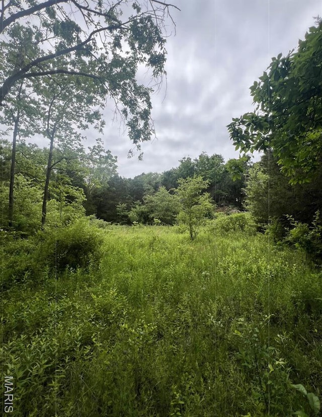 000 Madison Rd, Farmington, MO 63640 - photo 7