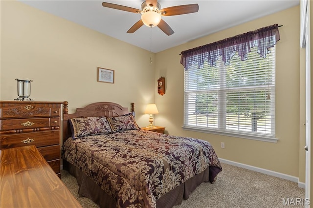 1229 Peruque Ridge Dr, Wentzville, MO 63385 - photo 19
