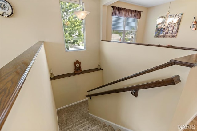 1229 Peruque Ridge Dr, Wentzville, MO 63385 - photo 22