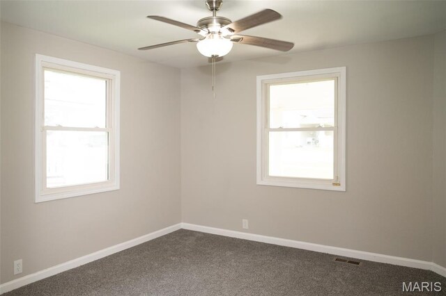 101 N Grant St, Desloge, MO 63601 - photo 12