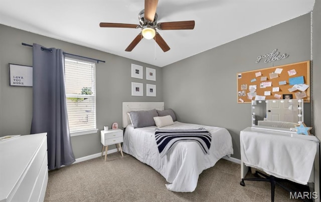 1176 Keighly Xing, Dardenne Prairie, MO 63368 - photo 25