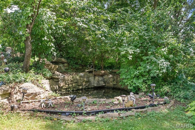 10120 Courtwick Dr, Saint Louis, MO 63128 - photo 9