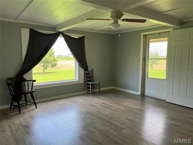 31934 County Road 339, Clarkton, MO 63837 - photo 9