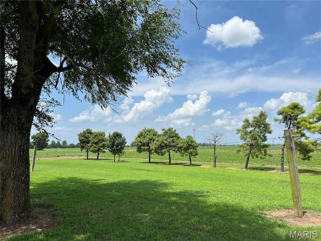31934 County Road 339, Clarkton, MO 63837 - photo 32