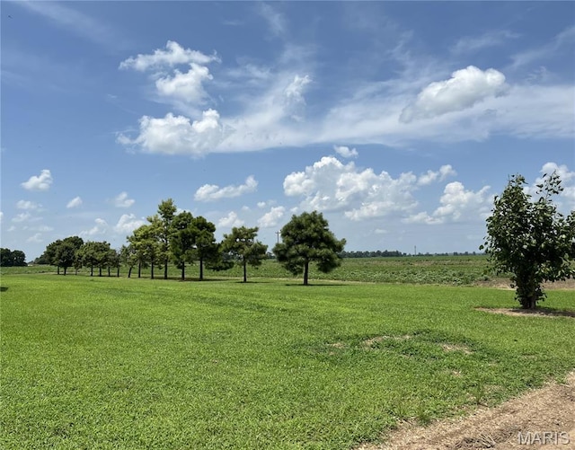 31934 County Road 339, Clarkton, MO 63837 - photo 33