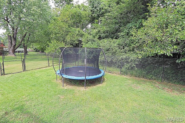 1510 Amblewood Dr, Cape Girardeau, MO 63701 - photo 38