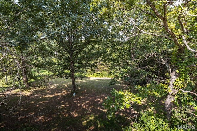 24575 Seattle Rd, Waynesville, MO 65583 - photo 38