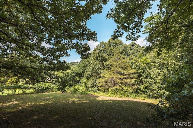 24575 Seattle Rd, Waynesville, MO 65583 - photo 43