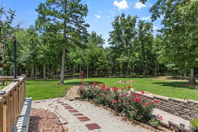 24357 State Highway Oo, Marble Hill, MO 63764 - photo 19