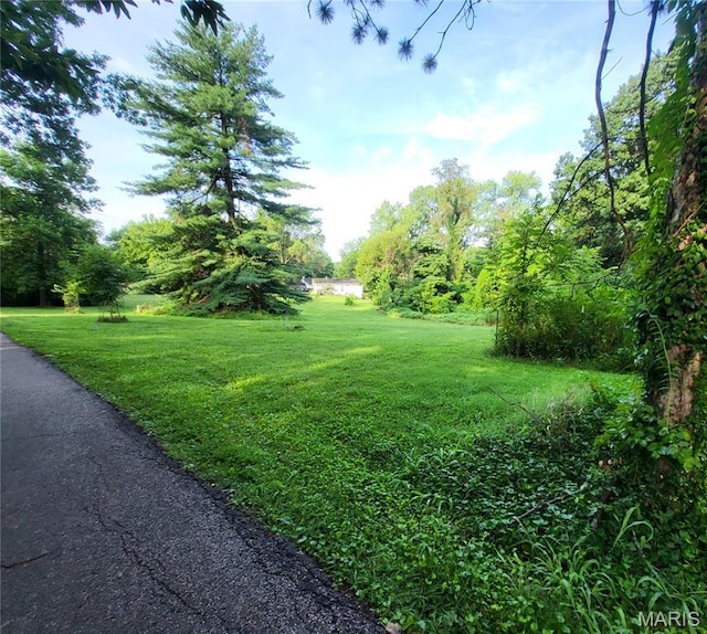 4 Hadley Ct, Edwardsville, IL 62025 - photo 1