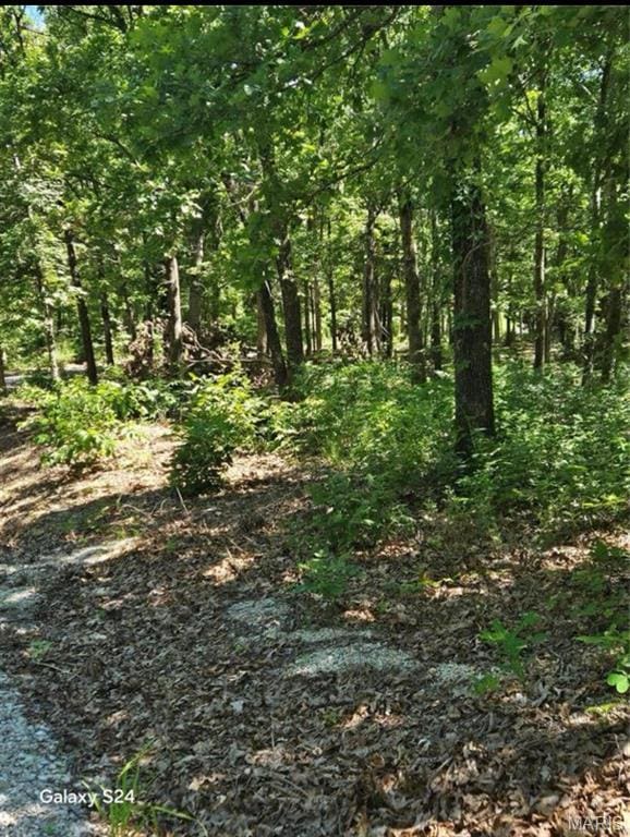 TRACT1 Dusty Rd, Cadet, MO 63630 - photo 2