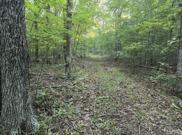 TRACT1 Dusty Rd, Cadet, MO 63630 - photo 3