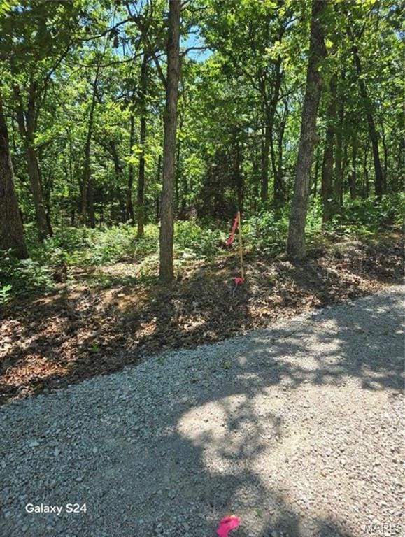 TRACT1 Dusty Rd, Cadet, MO 63630 - photo 5