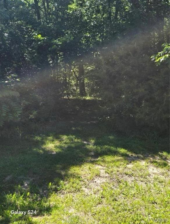 TRACT1 Dusty Rd, Cadet, MO 63630 - photo 6