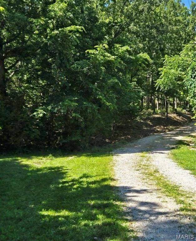 TRACT1 Dusty Rd, Cadet, MO 63630 - photo 7
