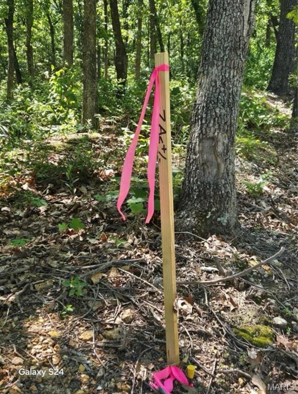 TRACT1 Dusty Rd, Cadet, MO 63630 - photo 8